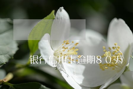 银行信用卡逾期80万 银行信用卡逾期80万