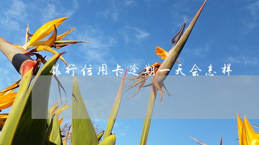 银行信用卡逾期一天会怎样
