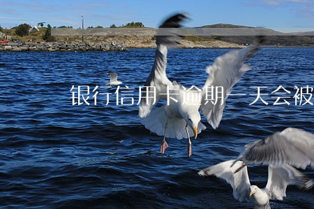 银行信用卡逾期一天会被起诉吗 银行信用卡逾期一天会被起诉吗