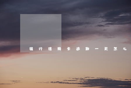 银行信用卡逾期一天怎么还款