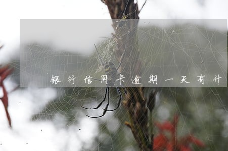 银行信用卡逾期一天有什么后果 银行信用卡逾期一天有什么后果