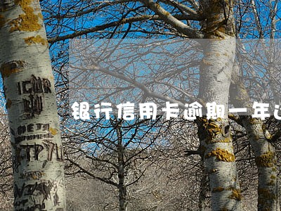 银行信用卡逾期一年还不上 银行信用卡逾期一年还不上