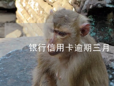 银行信用卡逾期三月