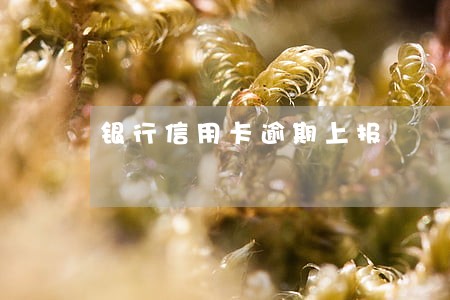 银行信用卡逾期上报 银行信用卡逾期上报