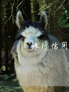 银行信用卡逾期上门如何处理 银行信用卡逾期上门如何处理