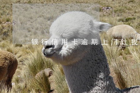 银行信用卡逾期上门让我签字 银行信用卡逾期上门让我签字