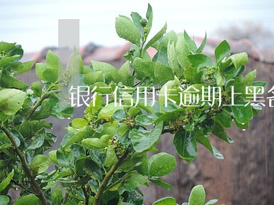 银行信用卡逾期上黑名