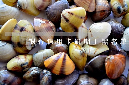 银行信用卡逾期上黑名单结果