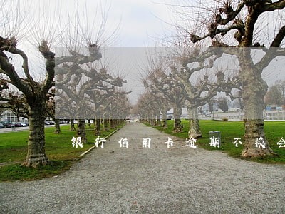 银行信用卡逾期不换会怎样 银行信用卡逾期不换会怎样