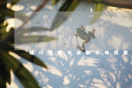 银行信用卡逾期不换后果 银行信用卡逾期不换后果