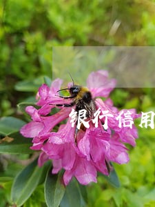 银行信用卡逾期不提醒吗 银行信用卡逾期不提醒吗