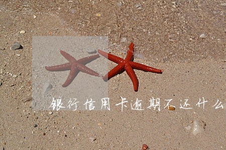银行信用卡逾期不还什么后果 银行信用卡逾期不还什么后果
