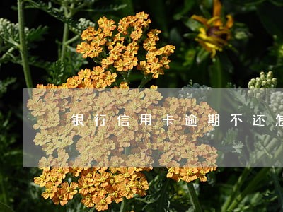银行信用卡逾期不还怎么办 银行信用卡逾期不还怎么办