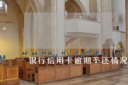 银行信用卡逾期不还情况说明