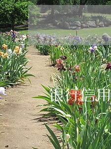 银行信用卡逾期为何越还款越大 银行信用卡逾期为何越还款越大