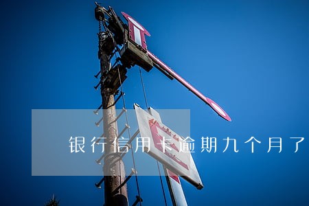 银行信用卡逾期九个月了