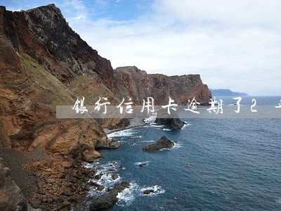 银行信用卡逾期了2年 银行信用卡逾期了2年