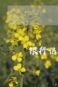 银行信用卡逾期了3年 银行信用卡逾期了3年