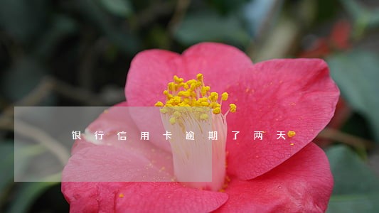 银行信用卡逾期了两天 银行信用卡逾期了两天