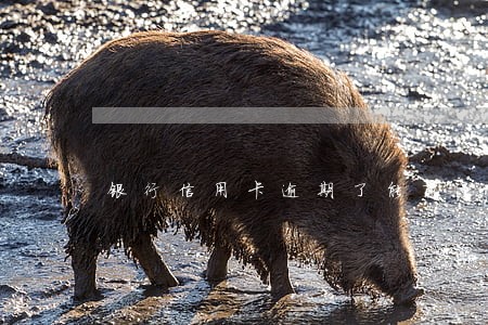 银行信用卡逾期了能商量吗 银行信用卡逾期了能商量吗