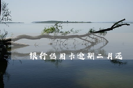 银行信用卡逾期二月还 银行信用卡逾期二月还