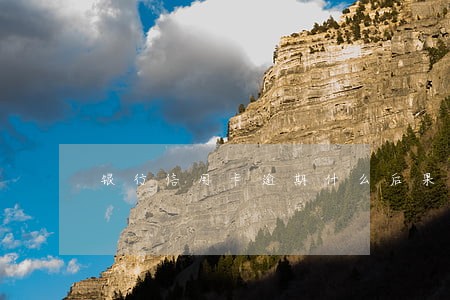 银行信用卡逾期什么后果 银行信用卡逾期什么后果