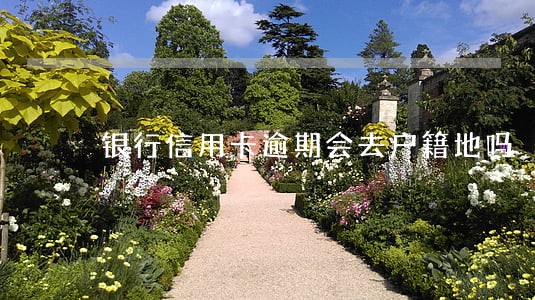 银行信用卡逾期会去户籍地吗