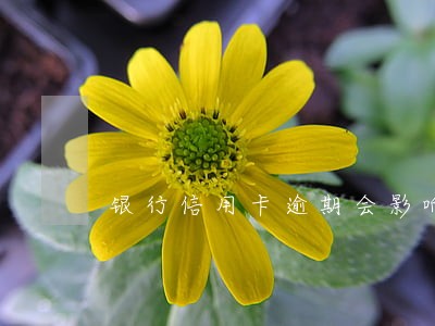 银行信用卡逾期会影响哪些问题 银行信用卡逾期会影响哪些问题