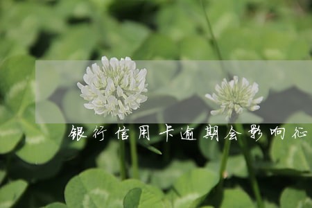 银行信用卡逾期会影响征信嘛 银行信用卡逾期会影响征信嘛