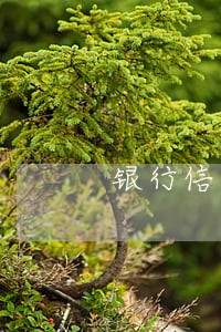 银行信用卡逾期会给家人打电话 银行信用卡逾期会给家人打电话