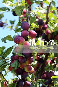 银行信用卡逾期会起诉吗 银行信用卡逾期会起诉吗