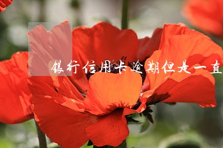 银行信用卡逾期但是一直在还款 银行信用卡逾期但是一直在还款