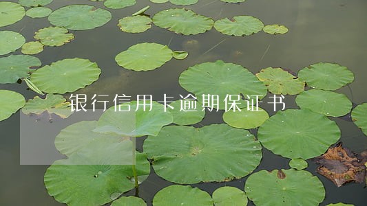 银行信用卡逾期保证书 银行信用卡逾期保证书