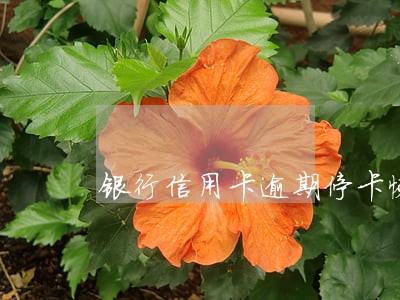 银行信用卡逾期停卡恢复 银行信用卡逾期停卡恢复