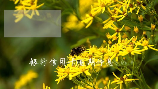 银行信用卡逾期停息 银行信用卡逾期停息