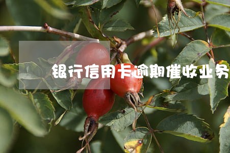 银行信用卡逾期催收业务 银行信用卡逾期催收业务