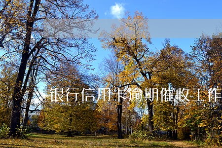 银行信用卡逾期催收工作 银行信用卡逾期催收工作