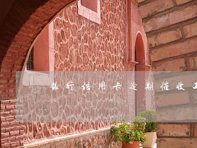 银行信用卡逾期催收工作计划 银行信用卡逾期催收工作计划