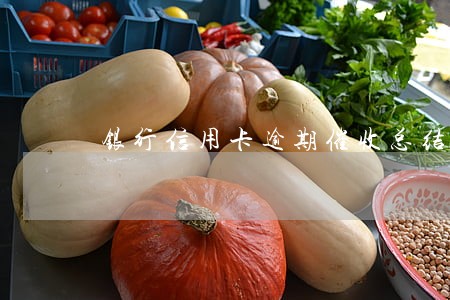 银行信用卡逾期催收总结 银行信用卡逾期催收总结