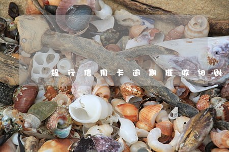 银行信用卡逾期催收细则 银行信用卡逾期催收细则