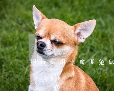 银行信用卡逾期免息分期协议