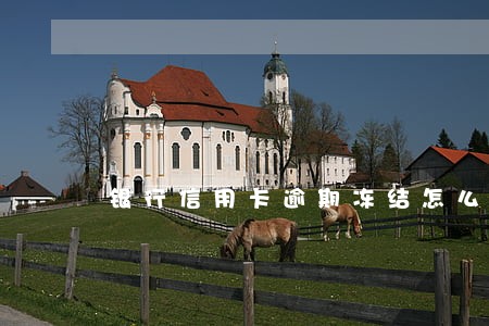 银行信用卡逾期冻结怎么解冻 银行信用卡逾期冻结怎么解冻