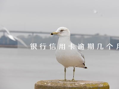 银行信用卡逾期几个月了 银行信用卡逾期几个月了