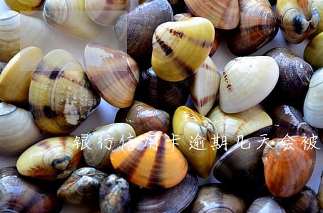 银行信用卡逾期几天会被起诉 银行信用卡逾期几天会被起诉