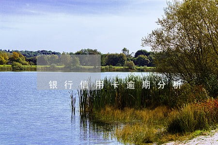 银行信用卡逾期分析 银行信用卡逾期分析