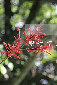 银行信用卡逾期利息公式