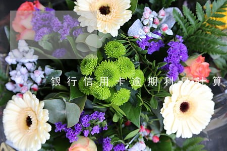 银行信用卡逾期利息计算器 银行信用卡逾期利息计算器