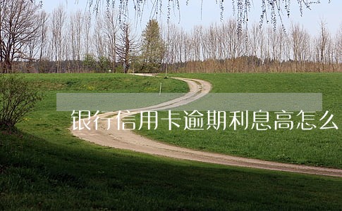 银行信用卡逾期利息高怎么办