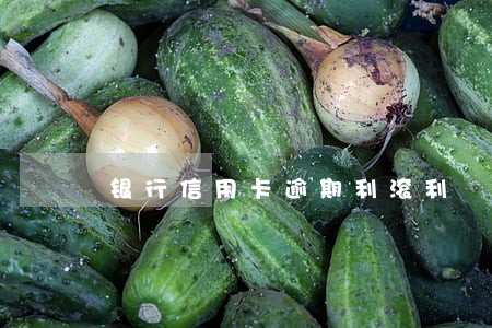 银行信用卡逾期利滚利