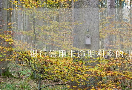银行信用卡逾期利率的上限 银行信用卡逾期利率的上限